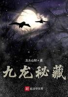 九龙秘藏,探寻神秘古文明的瑰宝之旅