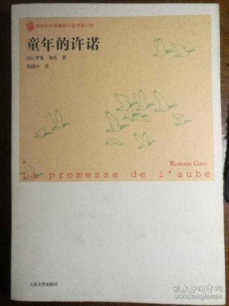 童年的许诺,追寻成长的足迹